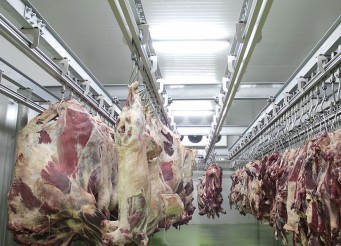 Et İşleme ve Depolama Sistemleri